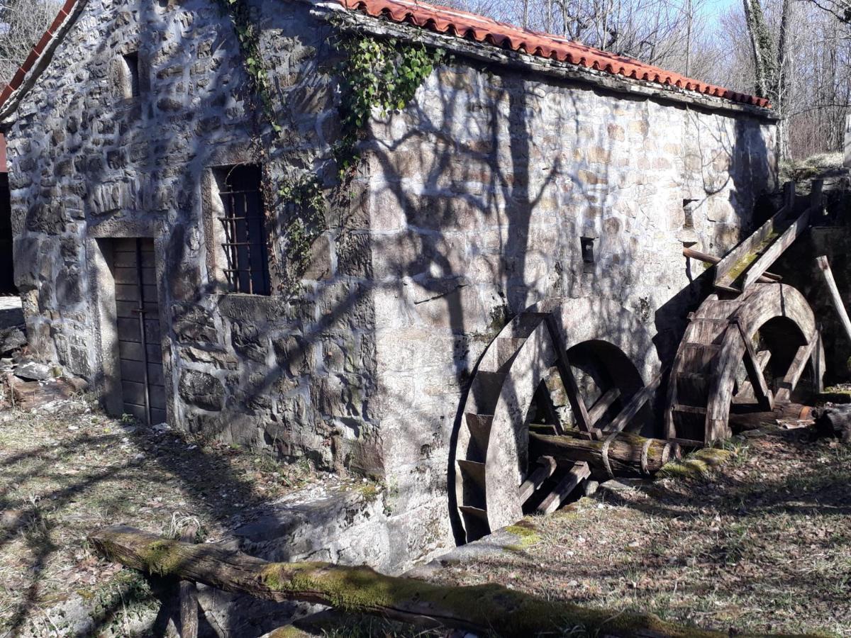 Hostal Wine House Rakar Gračišče Exterior foto