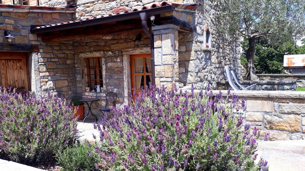 Hostal Wine House Rakar Gračišče Exterior foto