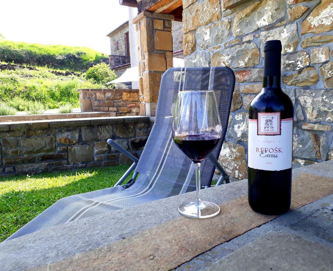 Hostal Wine House Rakar Gračišče Exterior foto